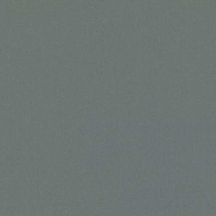 Forenza Fabric - Rosemary swatch
