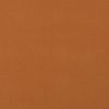 orange plain cotton fabric from Fryetts