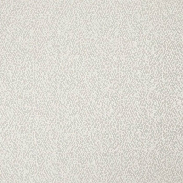 Roxton Fabric - Champagne swatch