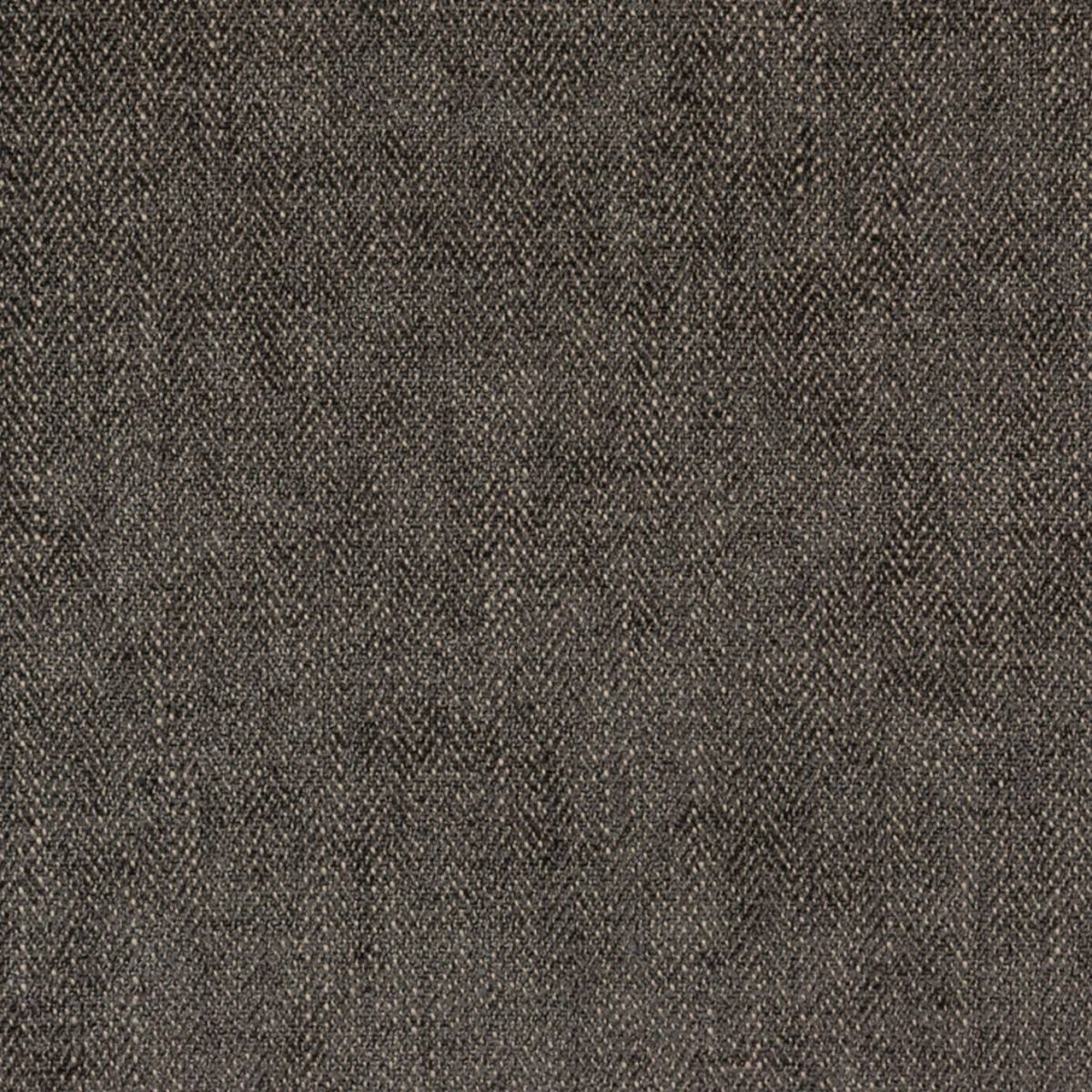 Cambridge Fabric - Expresso by Cambridge Fabric - Expresso from