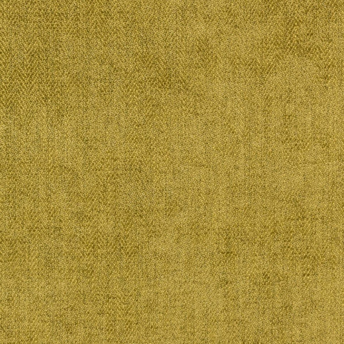 Cambridge Fabric - Olive from