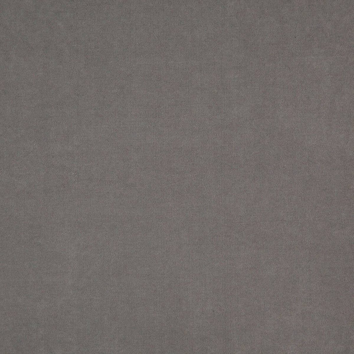 Compton Fabric - Mouse by Compton Fabric - Mouse from