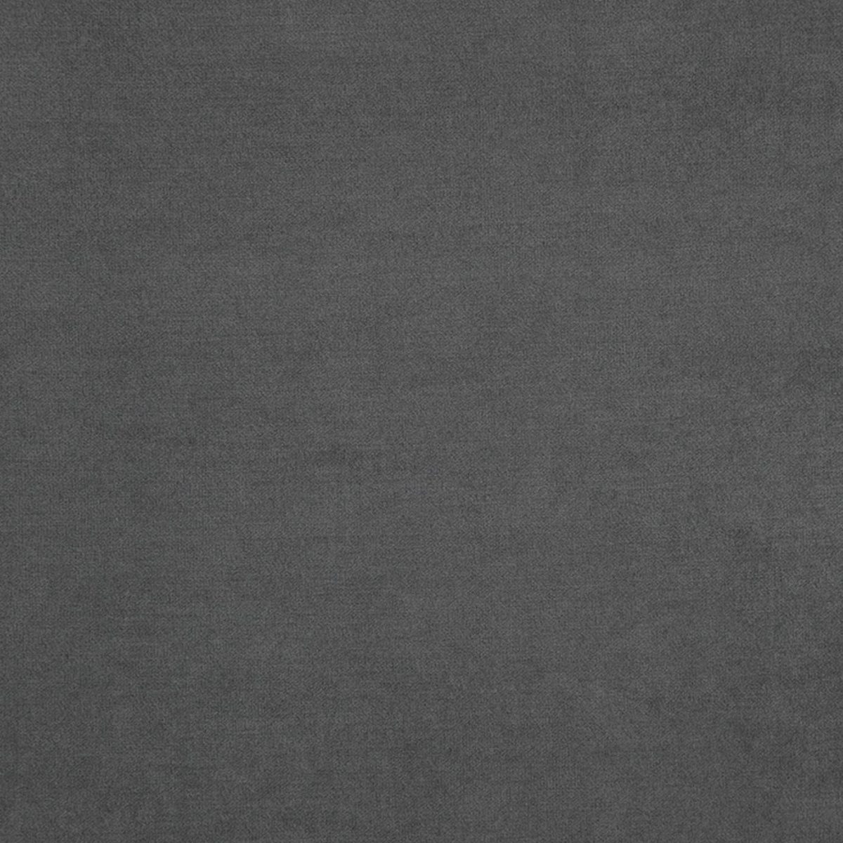 Compton Fabric - Shark by Compton Fabric - Shark from