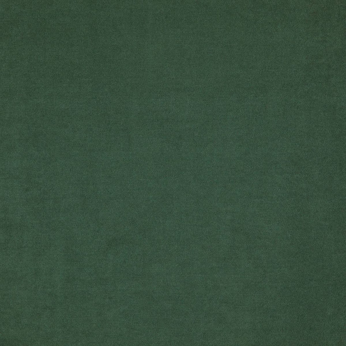 Compton Fabric - Bermuda by Compton Fabric - Bermuda from