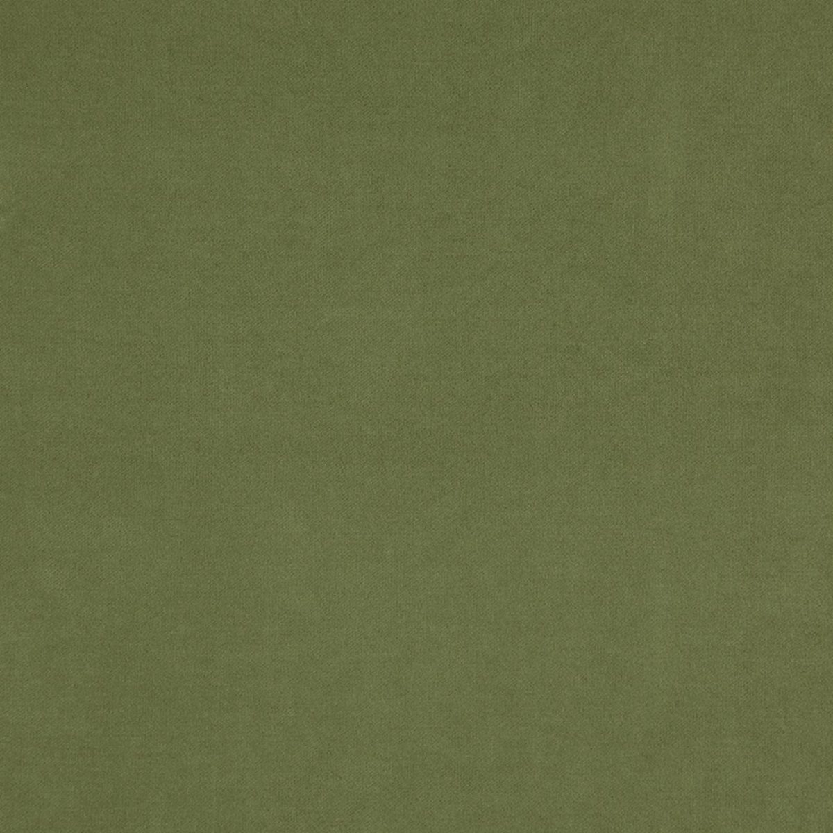 Compton Fabric - Turtle by Compton Fabric - Turtle from