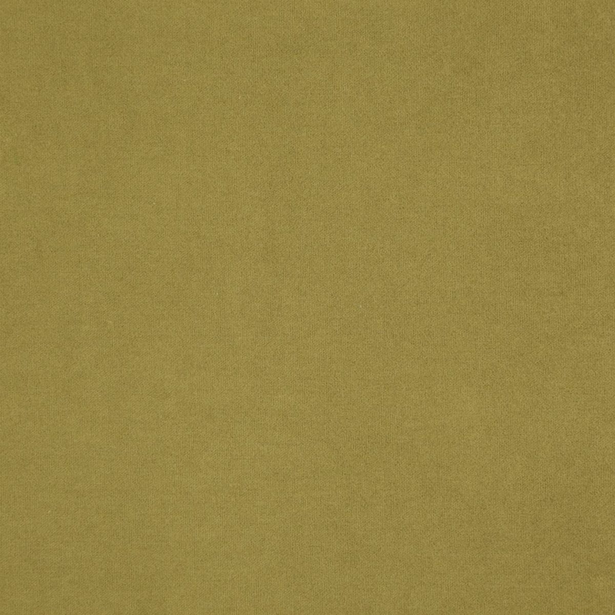 Compton Fabric - Palm by Compton Fabric - Palm from