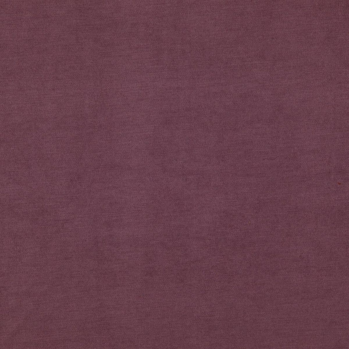 Compton Fabric - Amethyst by Compton Fabric - Amethyst from