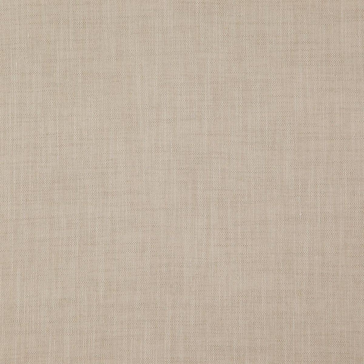 Linden Fabric - Seashell by Linden Fabric - Seashell from