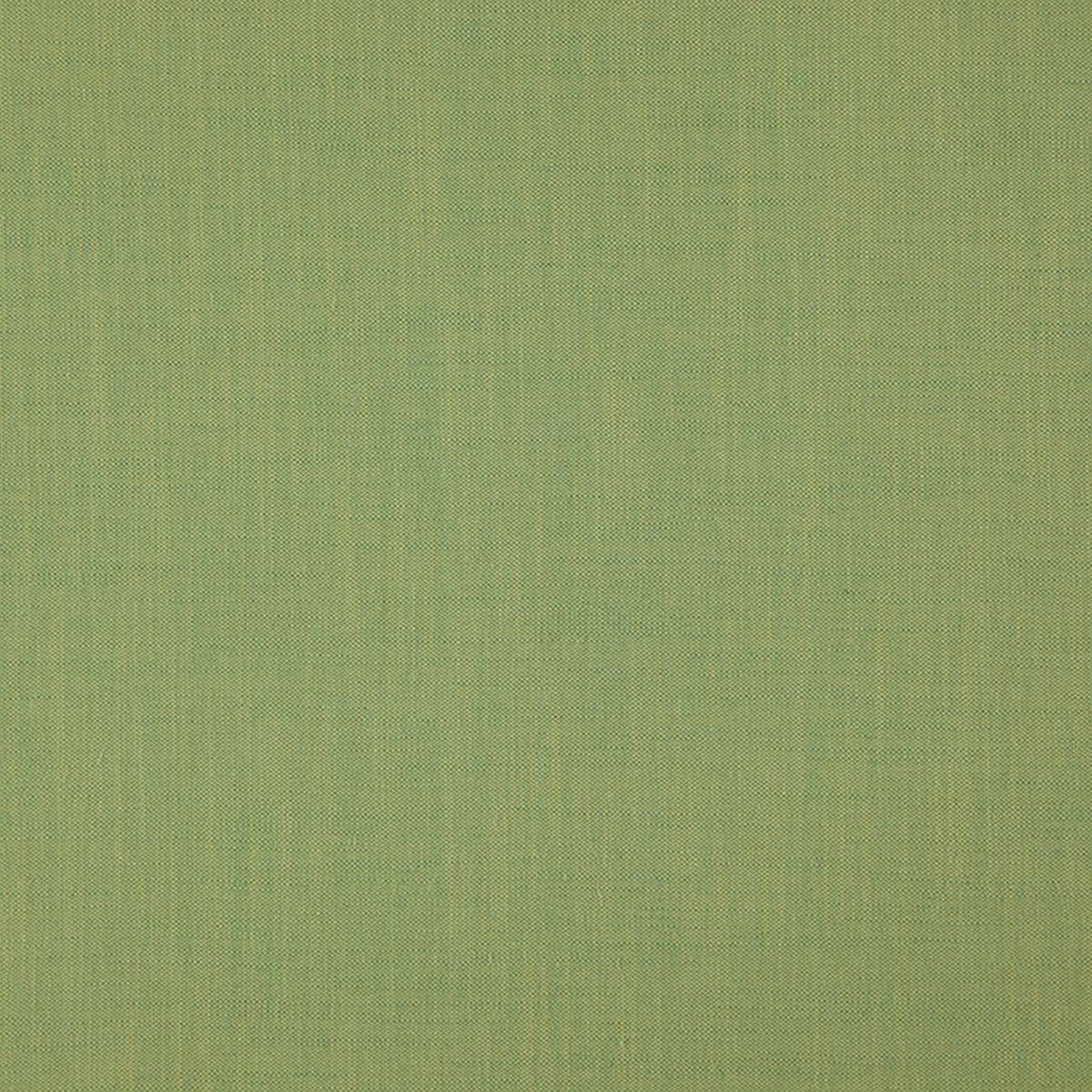 Linden Fabric - Kiwi Crush by Linden Fabric - Kiwi Crush from