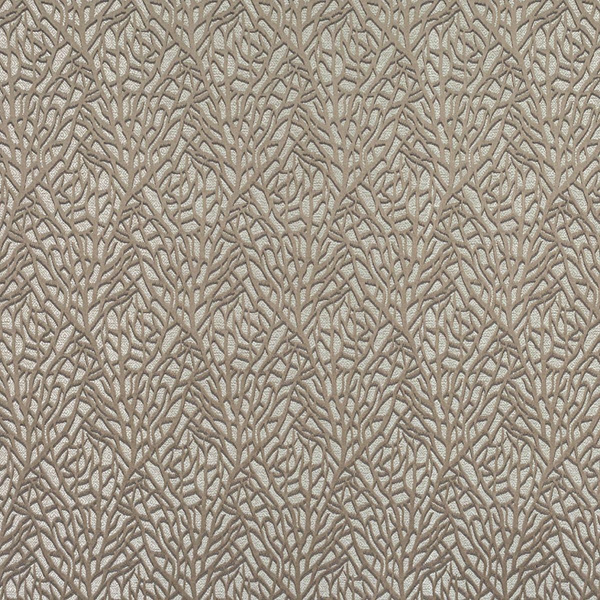 Reef Fabric - Fossil from