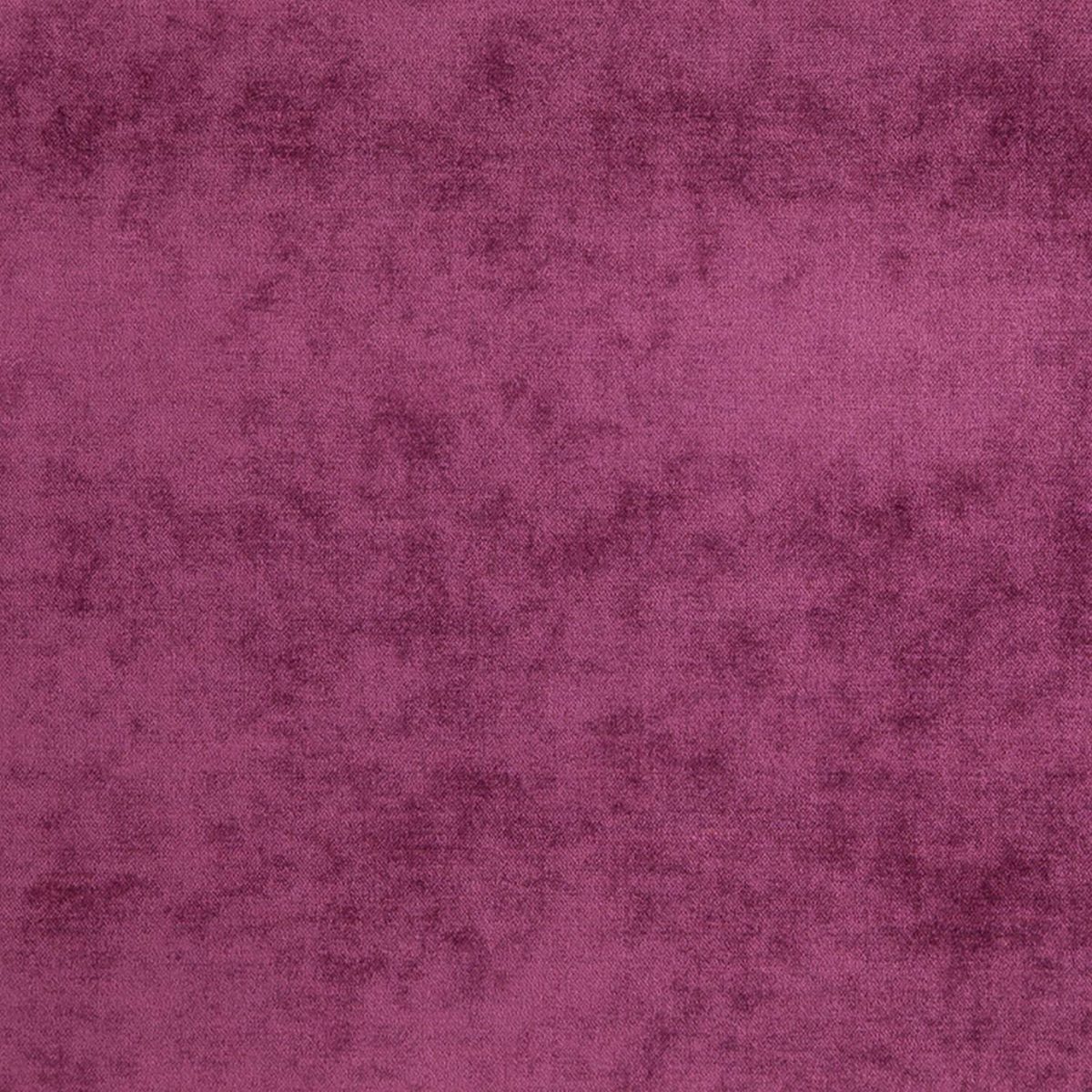Valentino Fabric - Fuschia Lily by Valentino Fabric - Fuschia Lily from