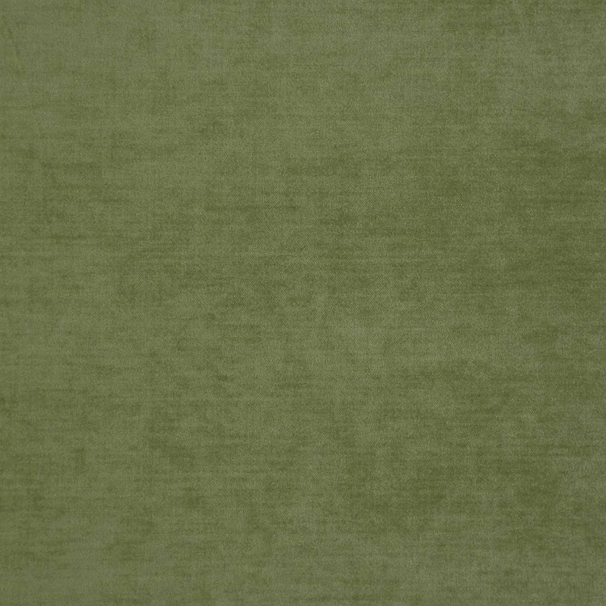 Valentino Fabric - Delicate Moss by Valentino Fabric - Delicate Moss from