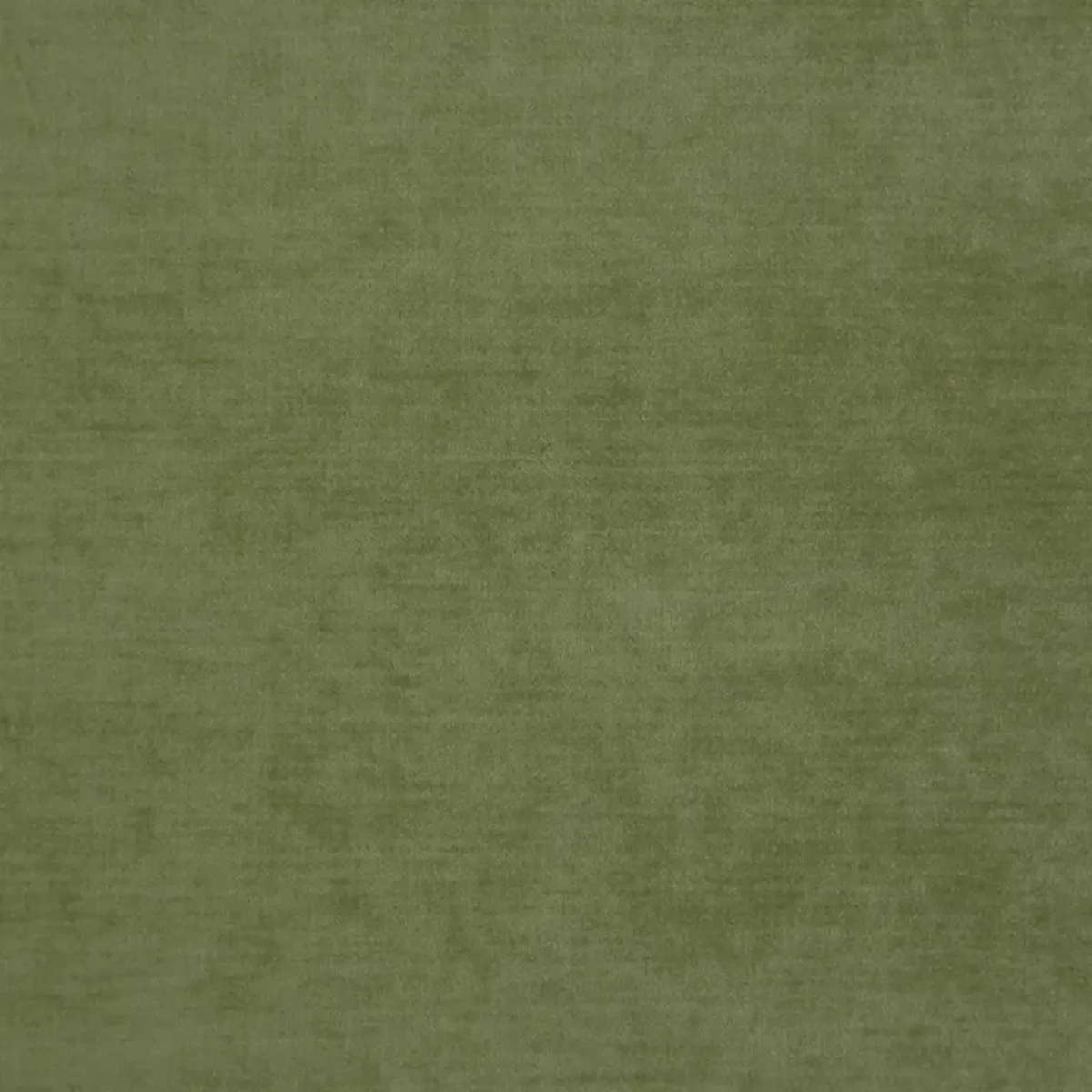 Valentino Fabric - Delicate Moss by green plain velvet-chenille fabric from Fibre Naturelle