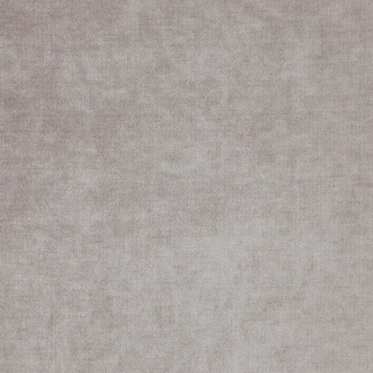 Valentino Fabric - Boutique Cream by black-grey plain velvet-chenille fabric from Fibre Naturelle