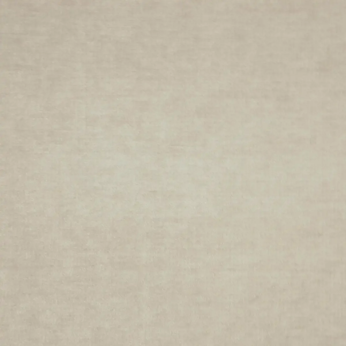 Valentino Fabric - Soft Truffle by white plain velvet-chenille fabric from Fibre Naturelle
