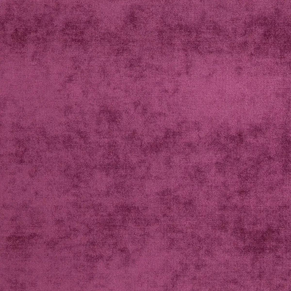 Valentino Fabric - Fuschia Lily by purple plain velvet-chenille fabric from Fibre Naturelle