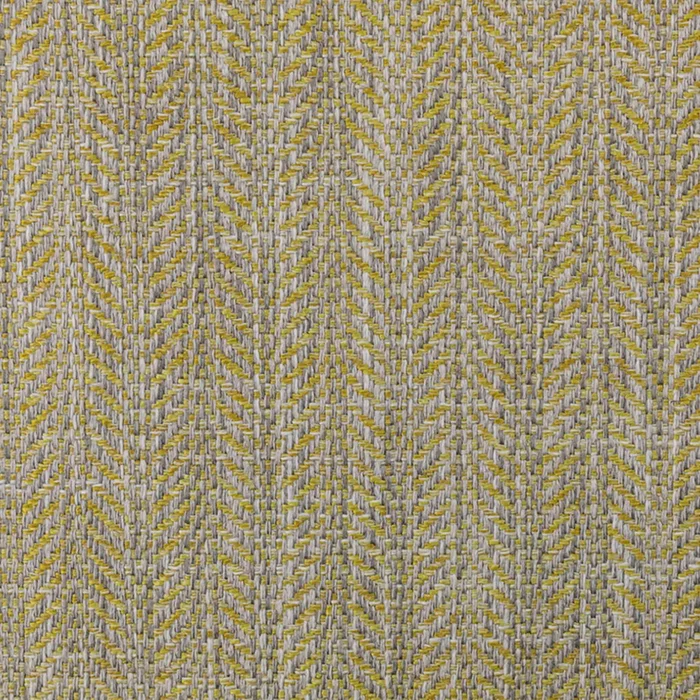 Oxford Fabric - Gold Strike swatch