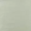 white plain silk-satin fabric from Fibre Naturelle