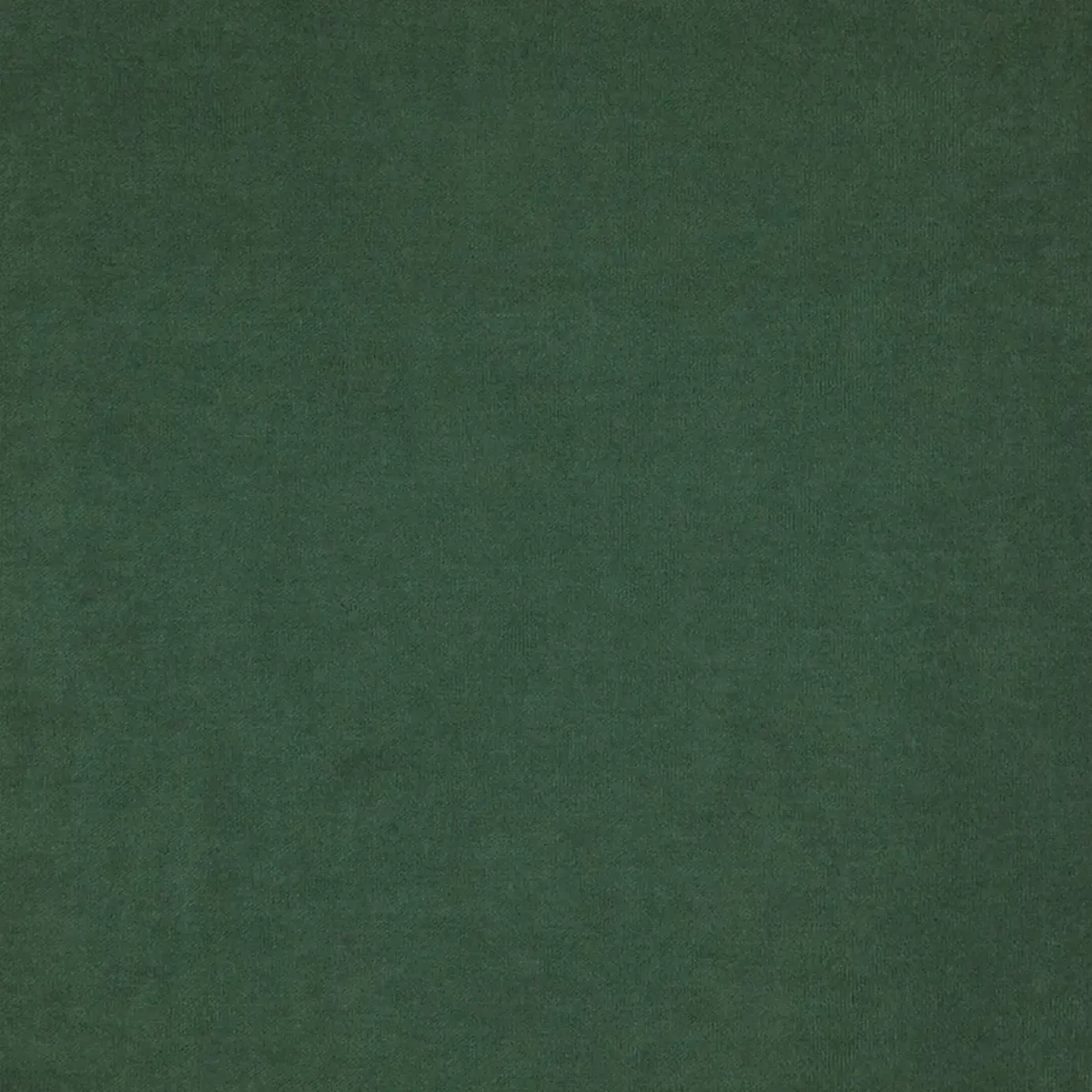 Compton Fabric - Bermuda by green plain velvet-chenille fabric from Fibre Naturelle
