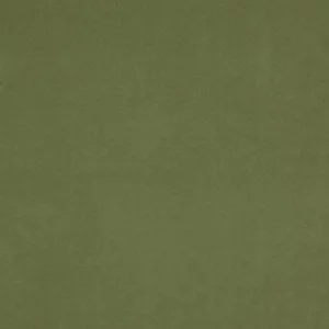 green plain velvet-chenille fabric from Fibre Naturelle