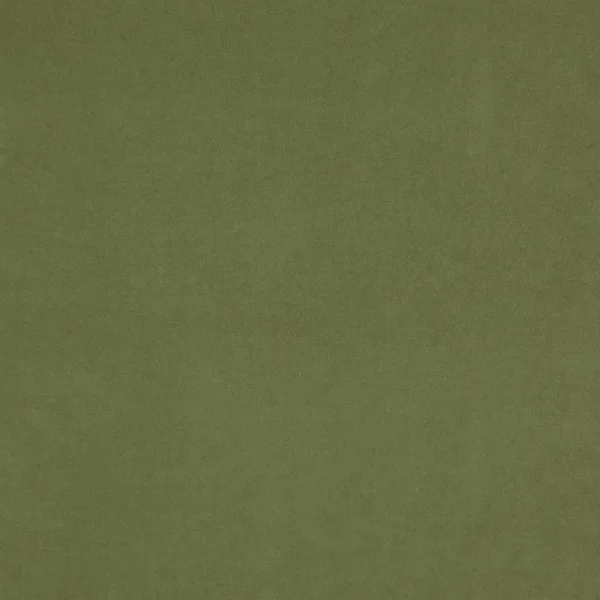 Compton Fabric - Turtle by green plain velvet-chenille fabric from Fibre Naturelle