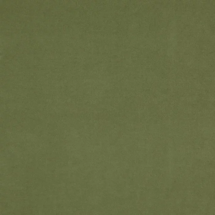 Compton Fabric - Turtle swatch