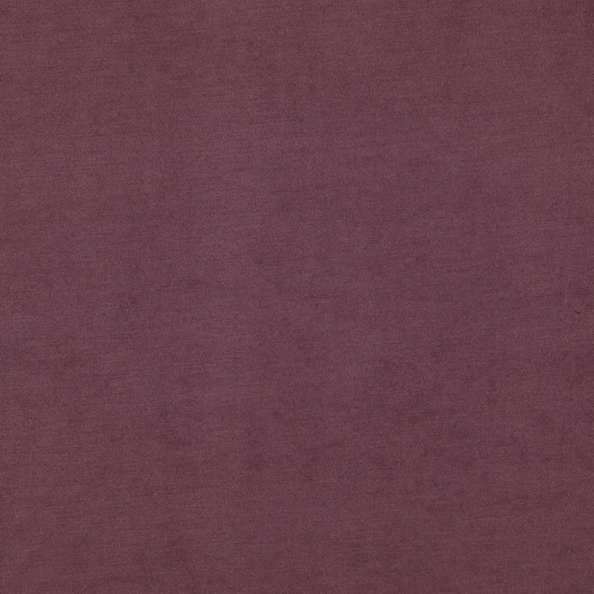 Compton Fabric - Amethyst by purple plain velvet-chenille fabric from Fibre Naturelle