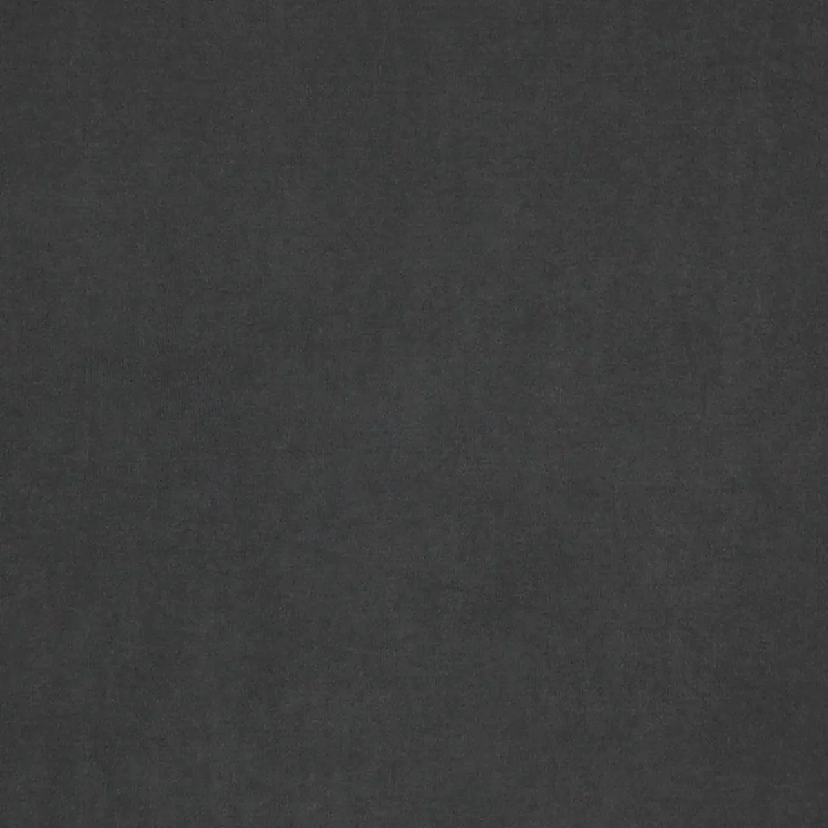 Compton Fabric - Elephant by black-grey plain velvet-chenille fabric from Fibre Naturelle