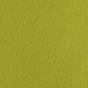 green plain woolen fabric from Abraham Moon & Sons