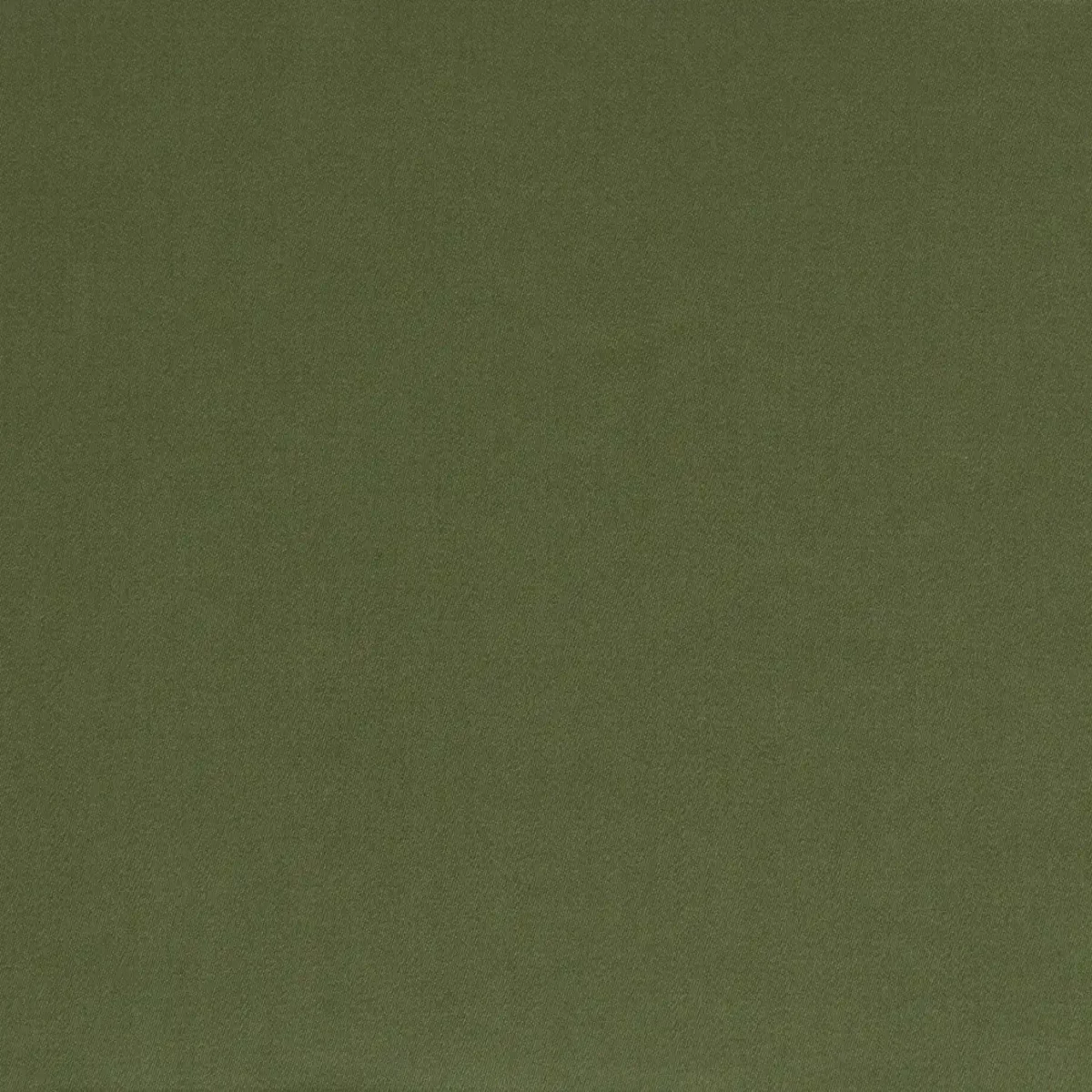 green plain woolen fabric from Abraham Moon & Sons