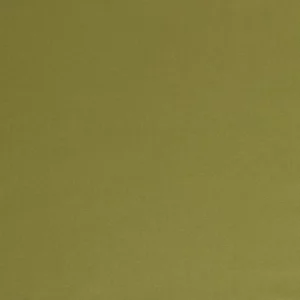 green plain woolen fabric from Abraham Moon & Sons