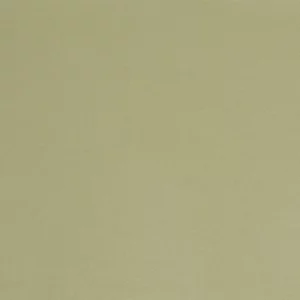 green plain woolen fabric from Abraham Moon & Sons