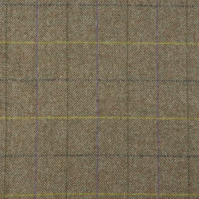 Rosa Fabric - Olive swatch