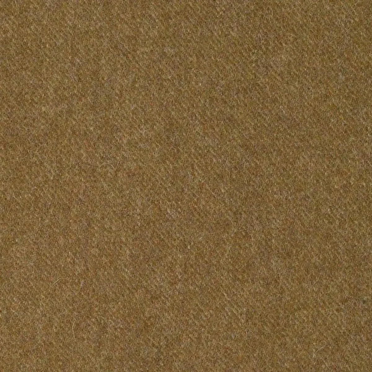 Earth Fabric - Camel by brown plain woolen fabric from Abraham Moon & Sons