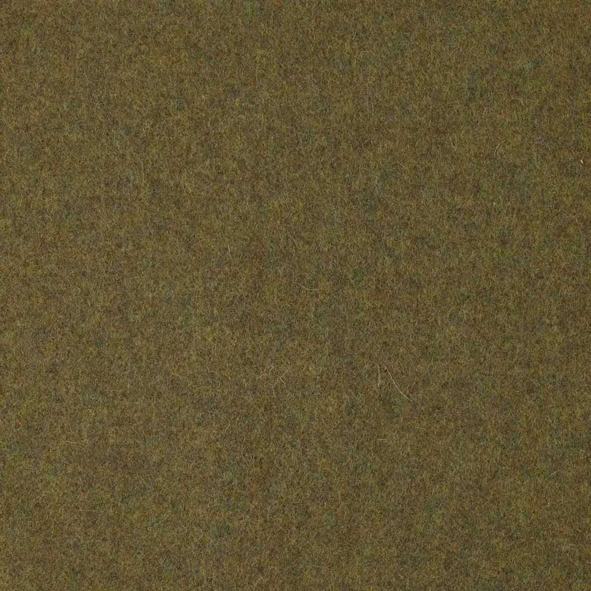 Earth Fabric - Finch by green plain woolen fabric from Abraham Moon & Sons