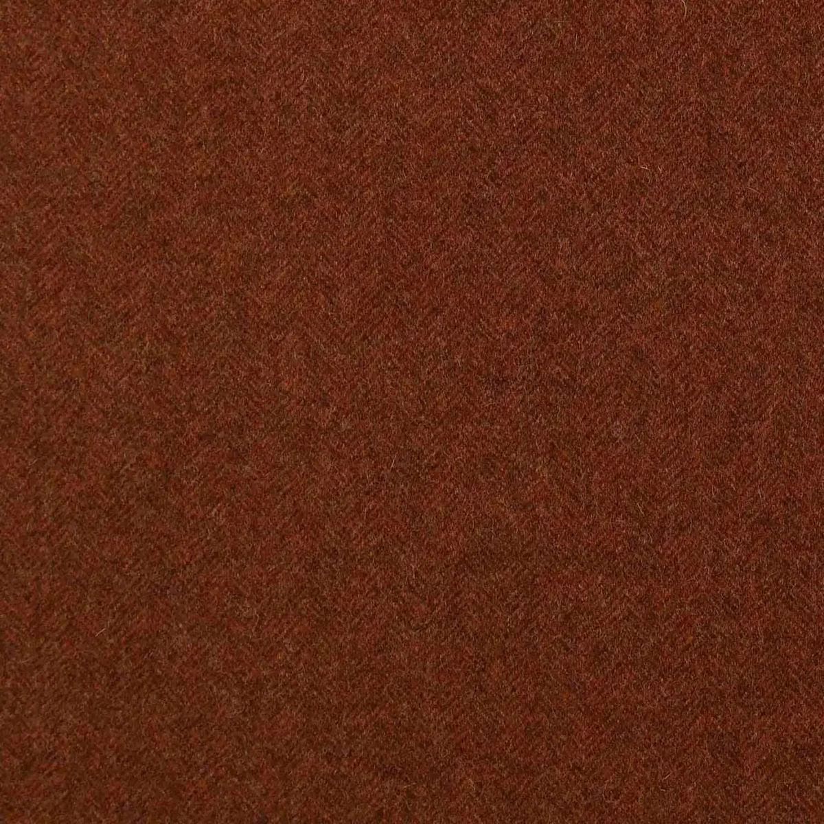Aberdeen Fabric - Burnt Orange by red plain woolen fabric from Abraham Moon & Sons
