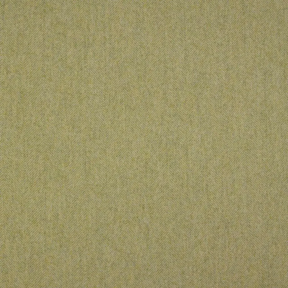green plain woolen fabric from Abraham Moon & Sons