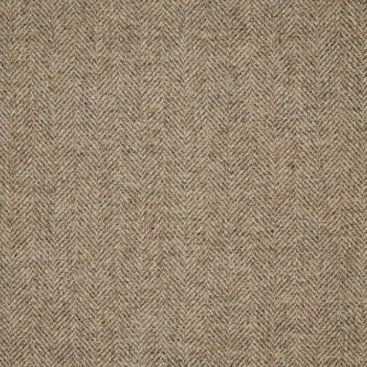 Herringbone Fabric - Bone by white misc woolen fabric from Abraham Moon & Sons