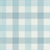 blue checked cotton fabric from Art of the Loom