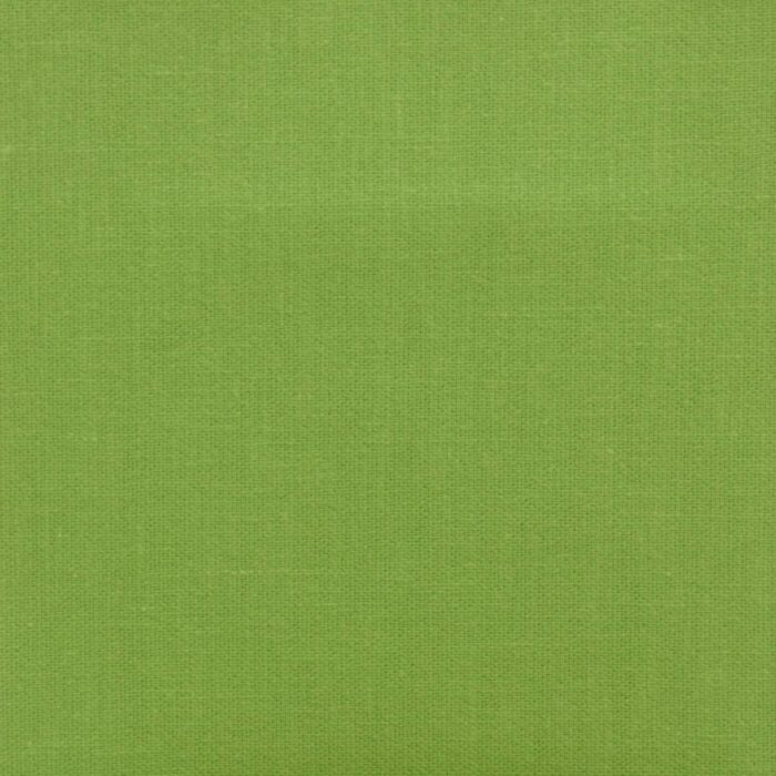Cole Fabric - Fern swatch