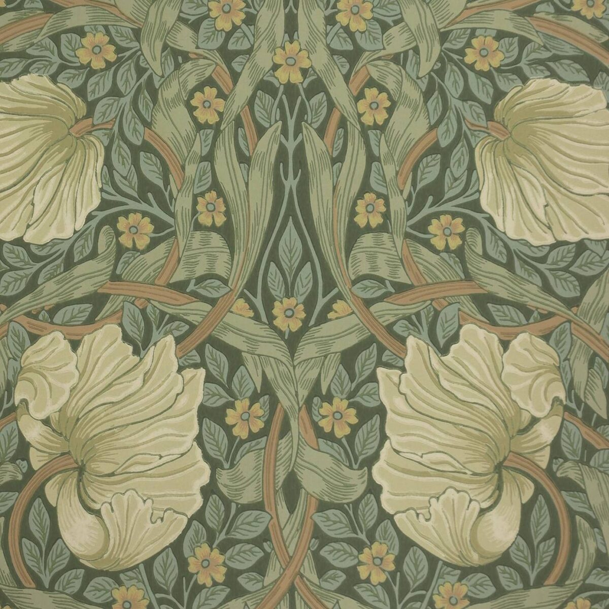 Pimpernel Wallpaper - Privet / Slate by green botanical wallpaper from william morris & co