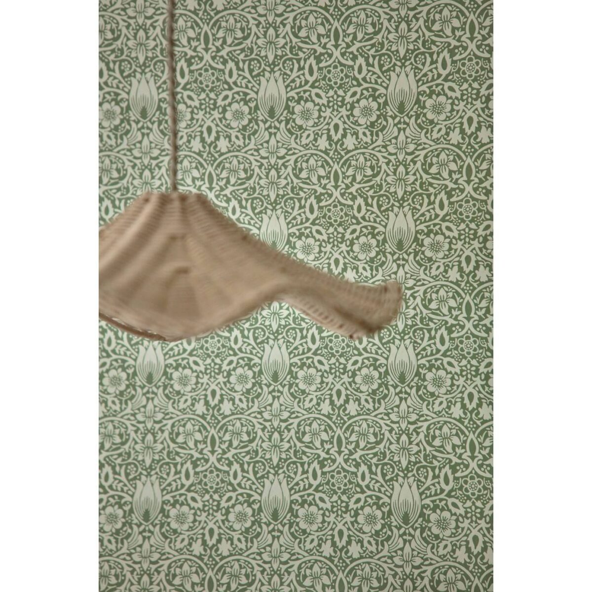 Borage Wallpaper - Red House by Borage Wallpaper - Red House from