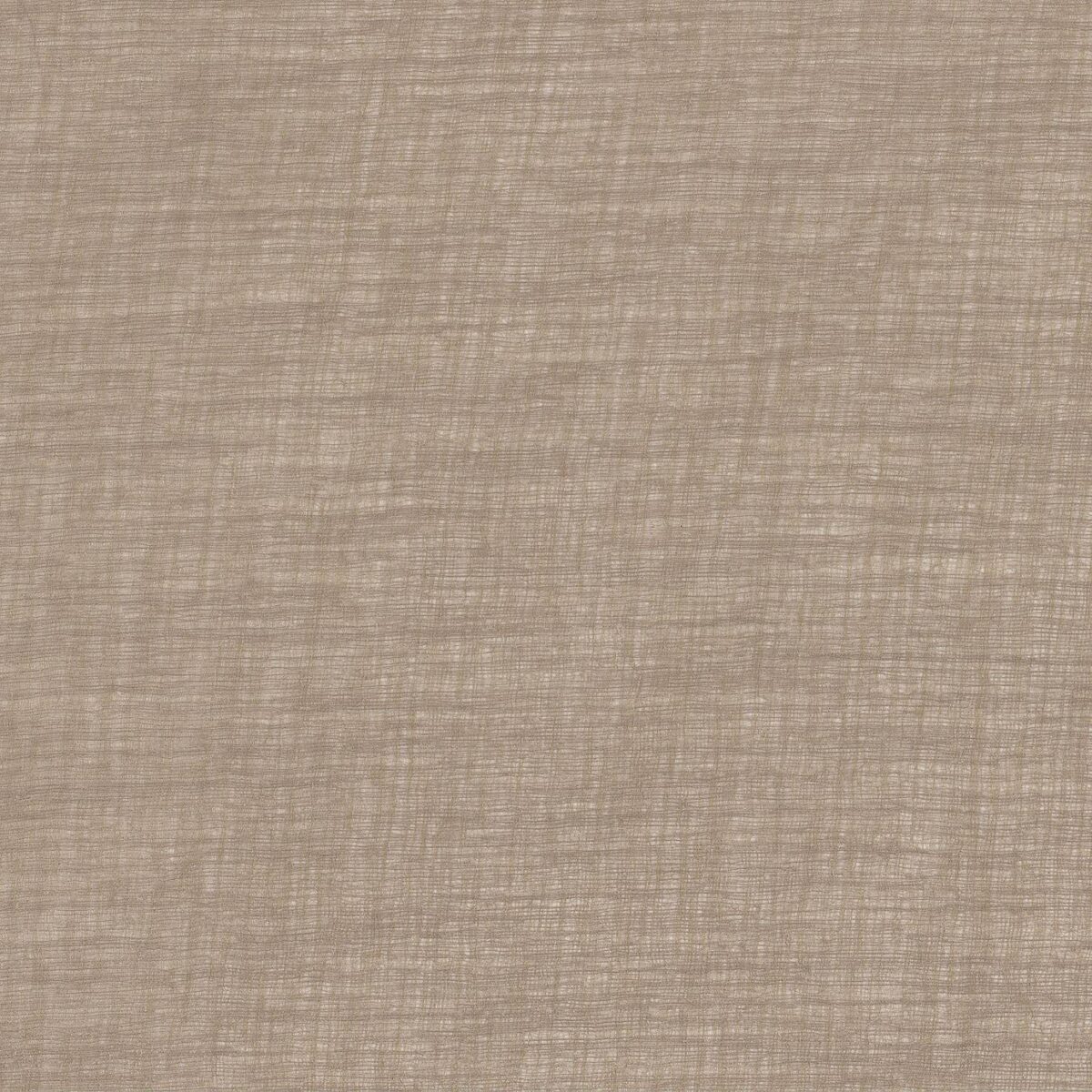 Callune Fabric - Sable by black-grey plain voile-sheer fabric from Camengo
