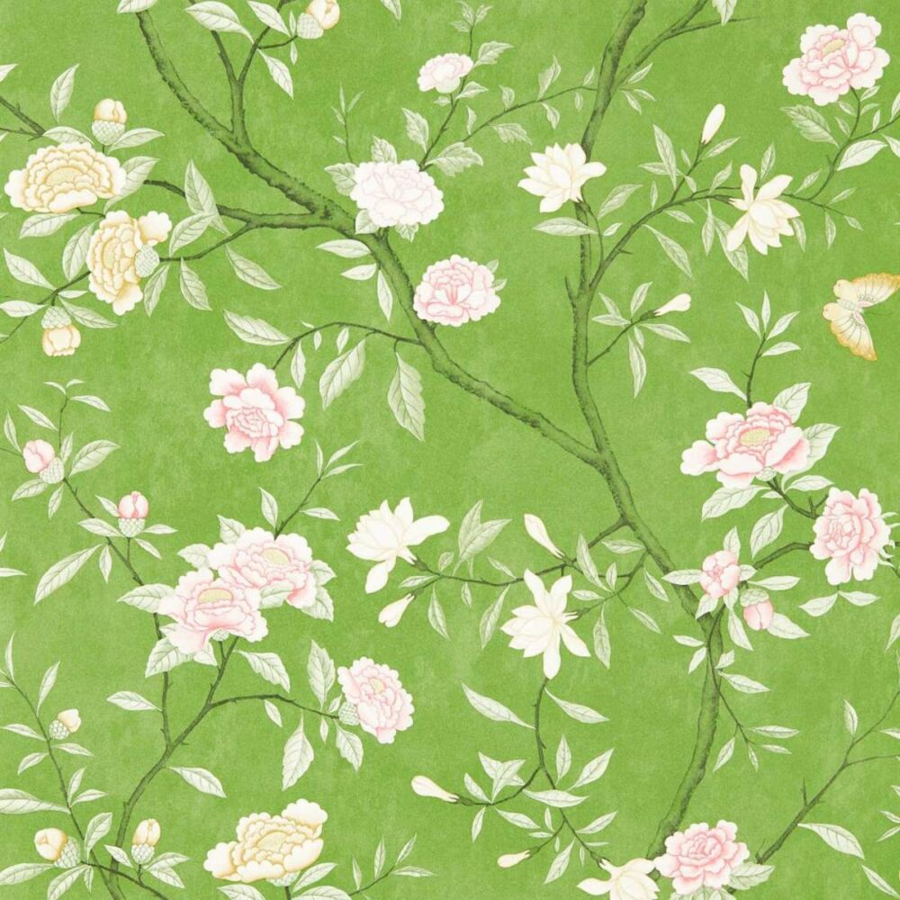 Nostell Priory Wallpaper - Evergreen from
