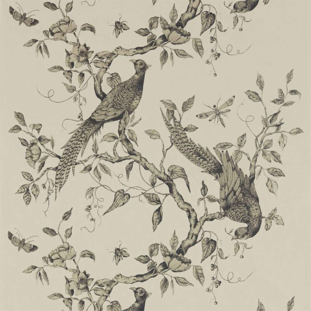 Darnley Wallpaper - Dove by black-grey animal wallpaper from zoffany