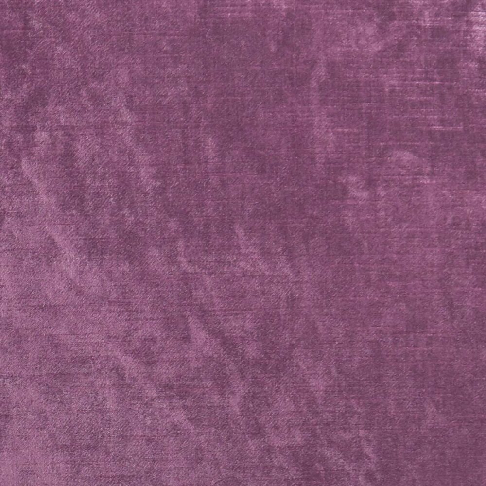 Allure Fabric - Berry by purple plain velvet-chenille fabric from Clarke & Clarke