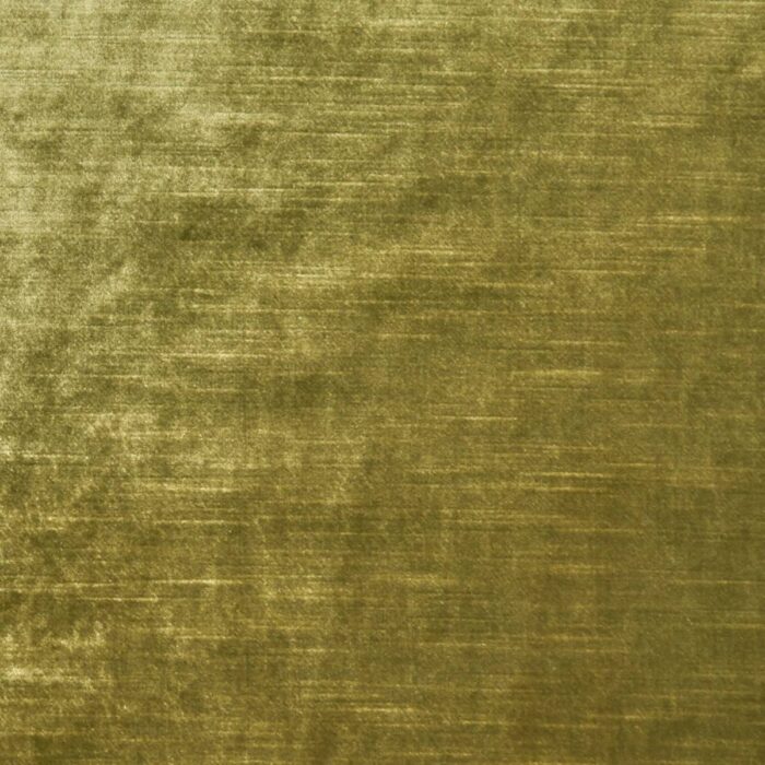 Allure Fabric - Olive swatch