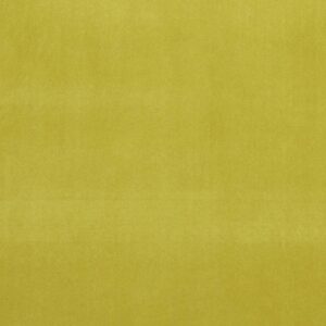 Alvar Fabric - Lime