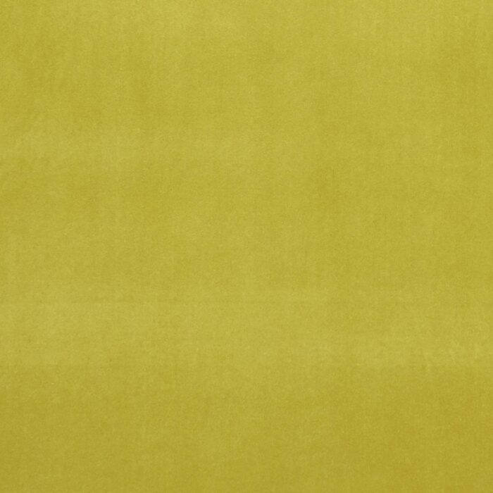 Alvar Fabric - Lime swatch