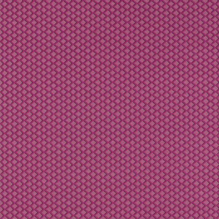Equator Fabric - Raspberry swatch